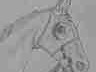 91黑料：国际服抢先体验玩法革新