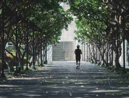 全程回顾：每日大赛在线观看事件持续发酵